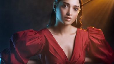 Photo of 4 reasons why Tamannaah Bhatia-starrer Tamil crime thriller series November Story is a must watch