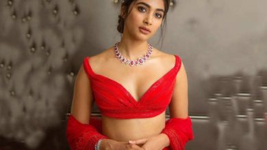 Photo of Pooja Hegde looks like a queen in her elegant saree. Pictures inside.