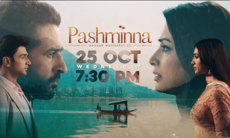 Pashminna Dhaage Mohabbat Ka 14th December 2023 Written Update: Pashminna arrives to Mumbai